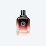 Nail Polish Nova