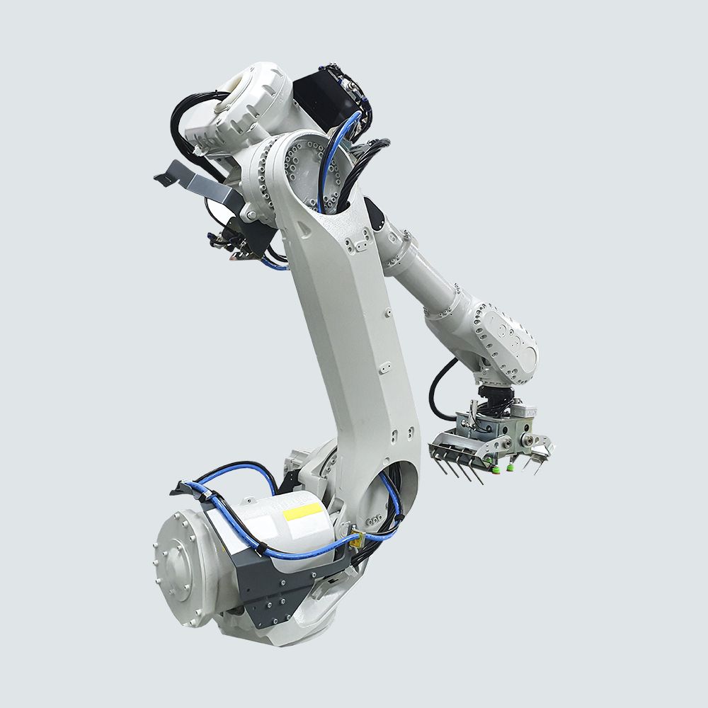 Lightfish whitebait rough sculpin North American