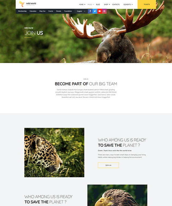 page