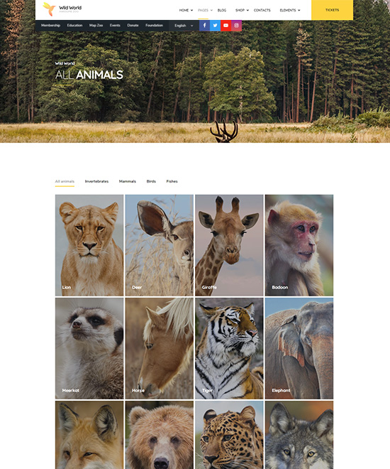 page